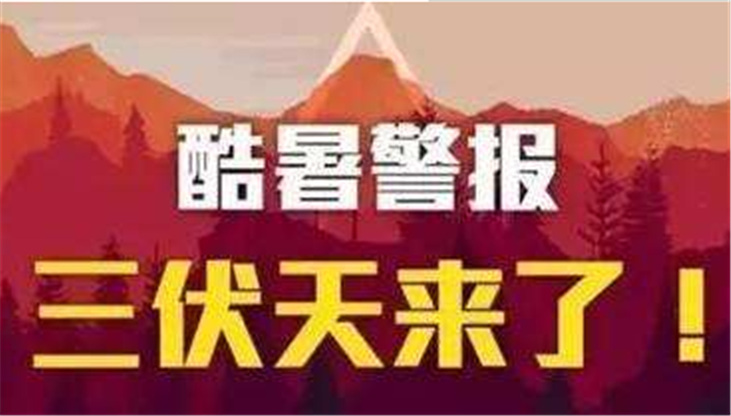 三伏已入，愿您安然度夏——貝朗高 效數(shù)控折彎機械